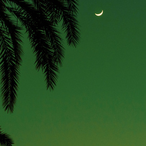 av直播被路人c翻了
